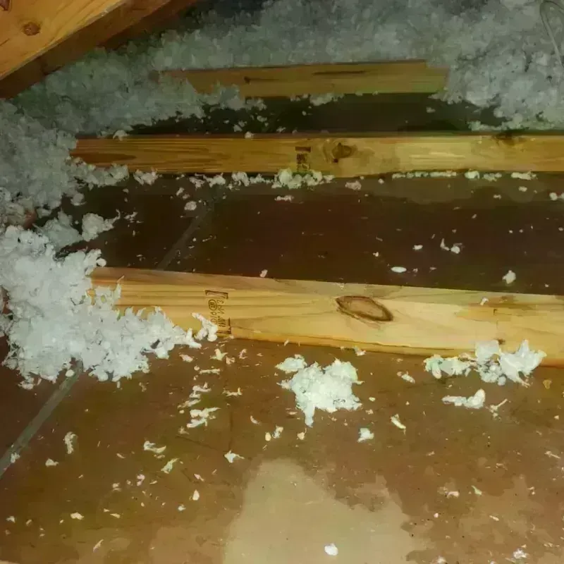 Attic Water Damage in Lakewood, CA