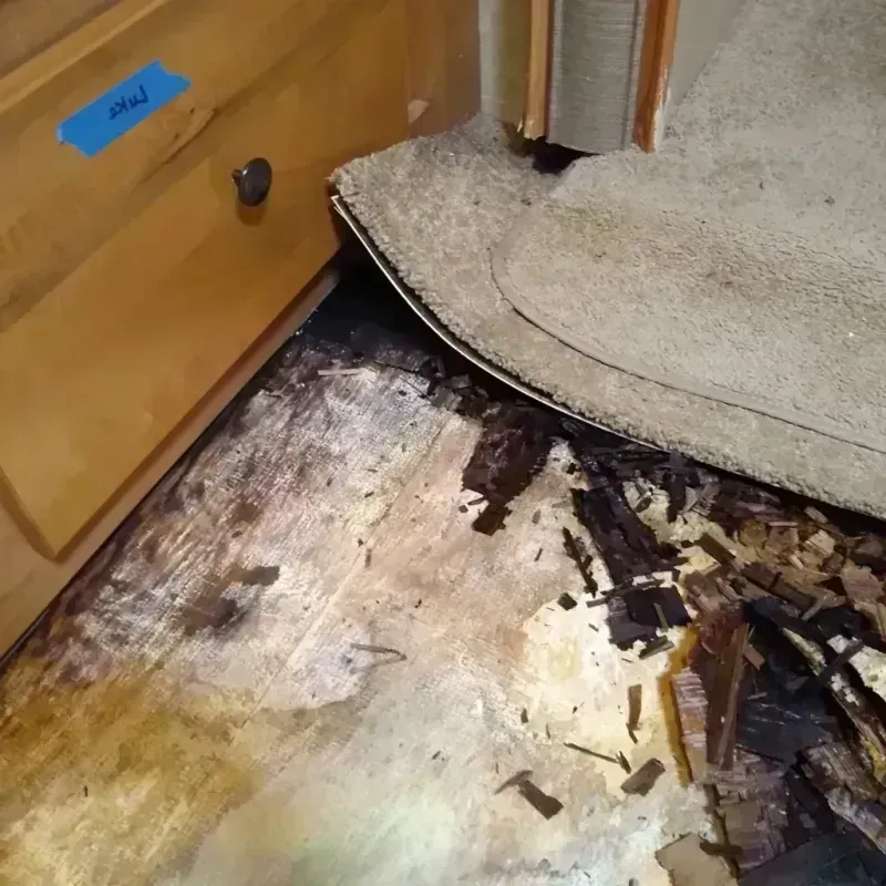 Wood Floor Water Damage in Lakewood, CA